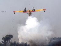 Αχαΐα: Φωτιά στα Λυκούρια Καλαβρύτων
