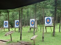 Δραστηριότητες για το περιβάλλον και τοξ...