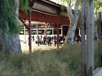 Επιχείρηση σκούπα σε Λαδόπουλο και ΑΒΕΞ ...