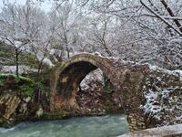 Καλάβρυτα:Την Τρίτη στο ιστορικό Τοξωτό ...