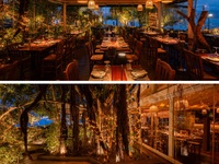 TamToom: Το all time classic που συνεχίζ...