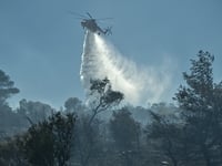 Βοιωτία: Μία σύλληψη για εμπρησμό από αμ...
