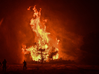 φωτο eurokinissi