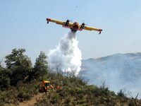 Πυρκαγιές: Διπλασιάζονται λόγω κλιματική...