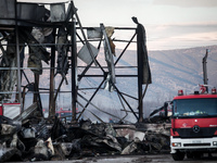 Βιολάντα: Tην Τρίτη απολογείται ο ιδιοκτ...