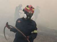 Μέγαρα - Φωτιά: Στο 401 αστυνομικός με α...