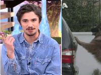 Κ. Νικούλι:  Θα εμφανιστεί ξανά στον «Σασμό»;