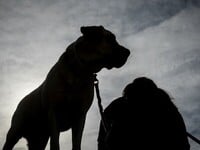 Τραγικό περιστατικό στη Ζάκυνθο: 2χρονο ...