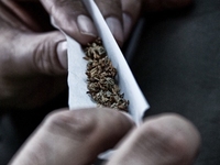 Skunk: To ναρκωτικό που φέρνει σχιζοφρέν...