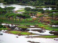 Λαθροθήρας με τζετ-σκι πυροβόλησε κατά π...