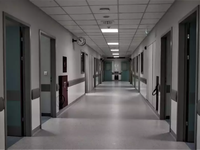 Candida Auris: Το χαρακτηριστικό του μύκ...