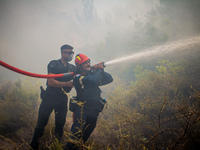 Φωτιά: Σε επιφυλακή η Πολιτική Προστασία...