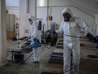 Κορωνοϊός: Άδεια ειδικού σκοπού για  γον...