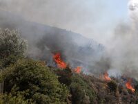 Πολύ υψηλός κίνδυνος πυρκαγιάς σε Ιόνιο,...