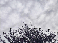 Καιρός: Σκόνη, λασποβροχές και θερμοκρασ...