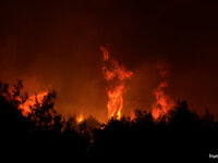 Φωτιά στον Έβρο: Μήνυμα του 112 στους κα...