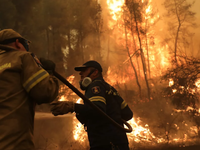 Φωτιά στην Εύβοια: Ολονύχτια μάχη για να...