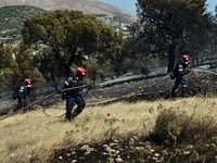 41 πυρκαγιές εκδηλώθηκαν το τελευταίο 24ωρο
