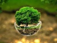 Παγκόσμια Ημέρα της Γης: Μόλις το 2,8% τ...