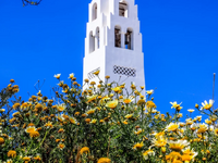 Καιρός: Ποιες ημέρες και πού θα βρέχει μ...