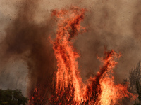 Τατόι: Εκκενώνονται τα πρώην βασιλικά αν...