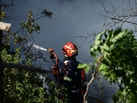 Ακραίος κίνδυνος για φωτιά σήμερα σε 3 π...