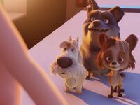 Καταφθάνει για τους μικρούς μας φίλους σ...