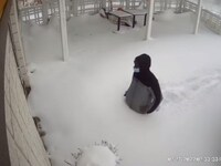 Ψάχνουν τον πελάτη που πήγε με ένα μέτρο...