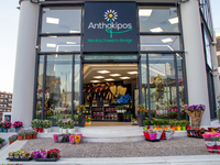 anthokipos: Το ανθοπωλείο της νέας εποχή...