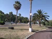 Πάτρα: Εργαζόμενοι στο τμήμα Πρασίνου κό...