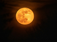 Πανσέληνος Νοεμβρίου 2025: Πότε θα λάμψε...