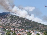 Αυλώνας: Τι βρέθηκε στο σπίτι του 45χρον...