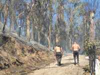 Φωτιά στην Πάτρα: Προσήχθη γυναίκα που φ...
