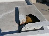 Κυψέλη: «Δεν το πιστεύω ότι μεγάλωσα ένα...