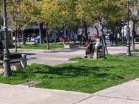 Bόλτες στα Ψηλαλώνια για ηλικιωμένους τ...