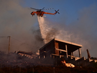 Ολονύχτια μάχη με τις φλόγες: Σε εξέλιξη...