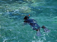 Πάτρα: Αγνοείται ψαροντουφεκάς στο Λαμπίρι