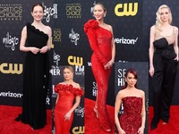 Kόκκινο, μαύρο, μποτονιέρες, βελούδο, φό...