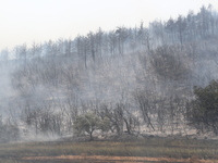 Φωτιά στον Έβρο: Σε εξέλιξη για 11η μέρα...