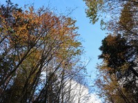 Μαρουσάκης:  Τι καιρό θα κάνει τα Χριστο...