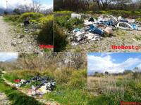 Πλατανόδασος Πάτρας ένα χρόνο μετά: Σκου...