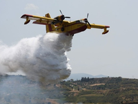 Οριοθετήθηκε η φωτιά στην Ηλεία - Χωρίς ...