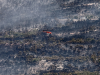 Φωτιές: Ακόμη πιο ζεστή η Αθήνα χωρίς το...
