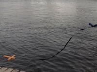 Ξέρετε πώς προέκυψε το όνομα Θεοφάνεια ή...