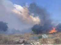 Φωτιά στην Αφροξυλιά Ναυπακτίας 