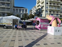 Πάτρα: Μεγάλη συμμετοχή στο πρόγραμμα δω...