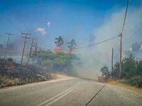 Φωτιά στην Εύβοια: Το πύρινο μέτωπο κατε...