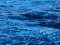 Παξοί:  «Έχω πάθει σοκ, είμαι έτοιμη να ...