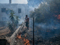 Δύσκολη νύχτα με τις φωτιές- Μεγάλη αναζ...