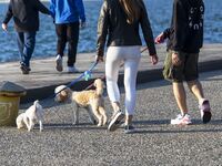 Κατεβάστε τη φόρμα για να δηλώσετε τις μ...